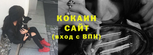 дживик Богородск
