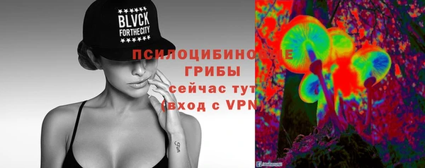 дживик Богородск