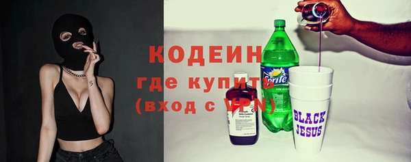 дживик Богородск