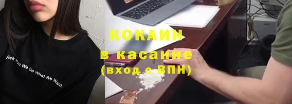дживик Богородск