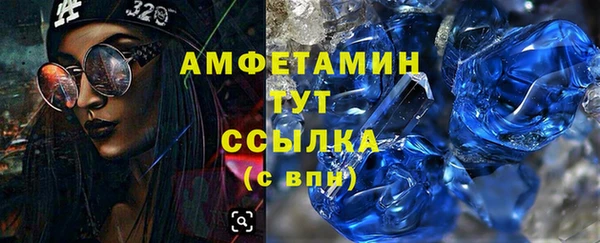 дживик Богородск