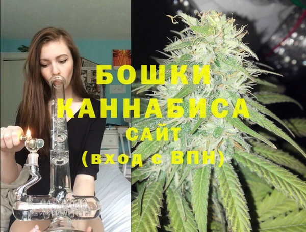 дживик Богородск