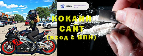 дживик Богородск